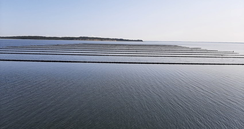 Muslinger pressedag 3.jpg