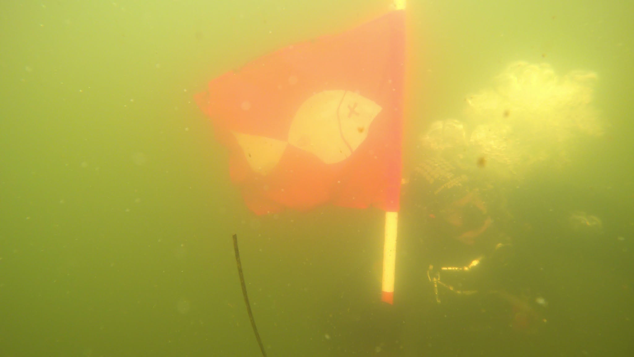 Greenpeace Danmark 